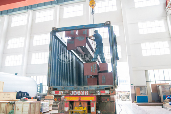 杭州油脂化工印度尼西亚工厂15吨 DHL系列散装燃煤蒸汽锅炉项目